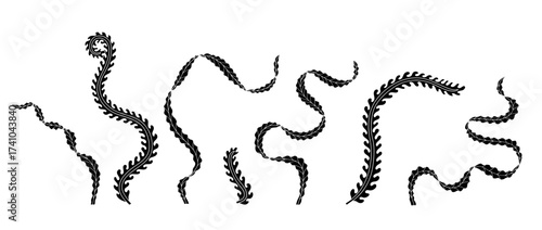 legant curvy Art nouveau style seaweed hand drawn monochrome silhouette vector illustration set