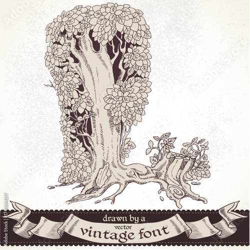 Fable forest hand drawn by a vintage font - L