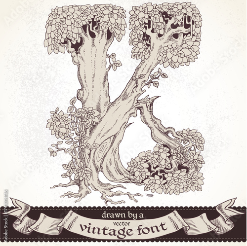Fable forest hand drawn by a vintage font - K