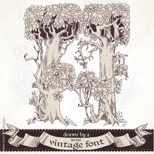 Fable forest hand drawn by a vintage font - H