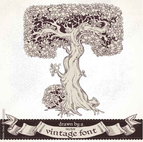 Fable forest hand drawn by a vintage font - T