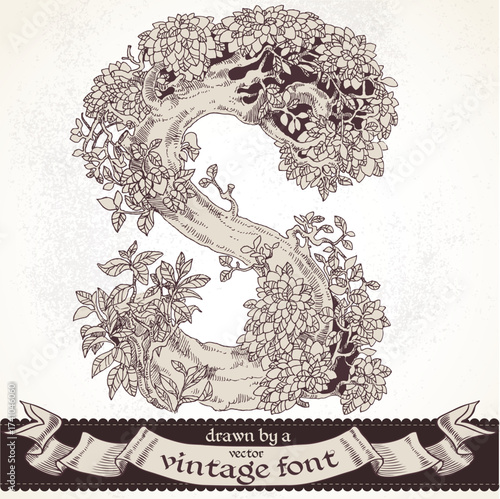 Fable forest hand drawn by a vintage font - S
