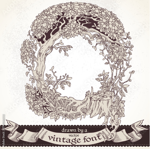 Fable forest hand drawn by a vintage font - Q