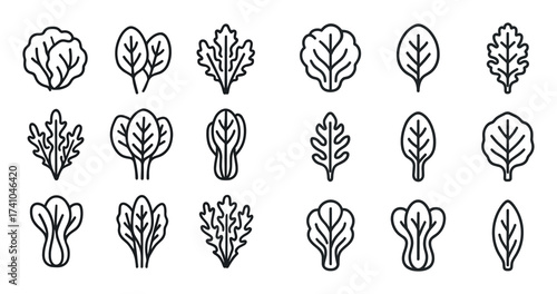 Leafy Greens Icons