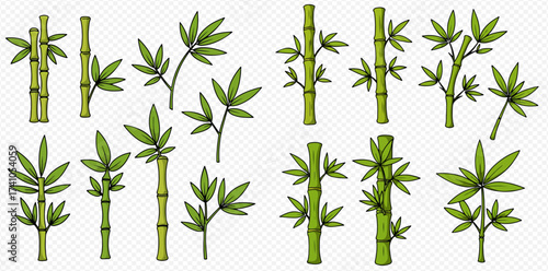 Illustration of bamboo stalks and leaves on a transparent background.