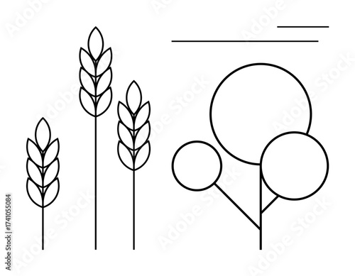 Wheat stalks alongside a tree with circular elements and clean lines, evoking nature and simplicity. Ideal for agriculture, sustainability, ecology, growth, balance, minimalism, natural metaphor