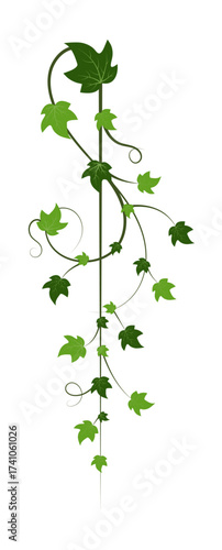 Green Ivy Vine Leaves Decoration – Climbing Plant Vector Design