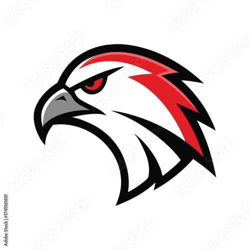 eagle head vector illustration
