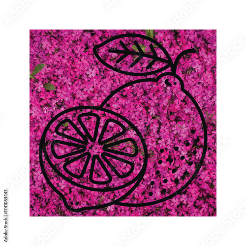  Lemon Outline on Pink Flower Background