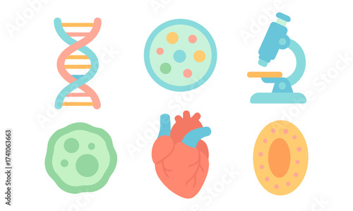 Flat style science icons: dna, microscopic cells, heart and microscope illustrations