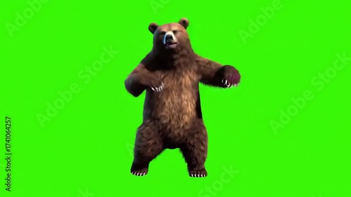 Animated brown bear performing playful dance moves on hind legs against seamless chroma key green screen background for compositing projects