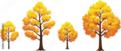 Autumn trees, fall foliage, deciduous tree illustration, seasonal landscape design, yellow orange leaves, nature asset, vector plants, outdoor environment, garden elements