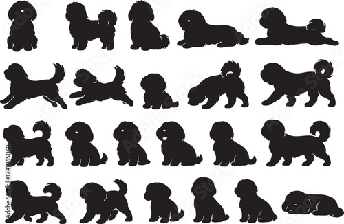 Adorable silhouettes of various small dog breeds in playful poses collection