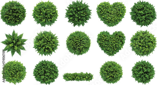 Top view green bushes, isolated shrub shapes, landscaping elements, garden design assets, foliage textures, vector plants, outdoor environment, nature icons