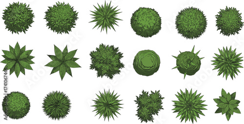 Top view trees, foliage illustration, landscaping design, garden planning asset, vector plants, outdoor environment, nature elements, greenery icons, architectural visualization, vegetation set