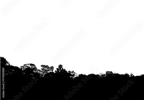 silhouette of a tree