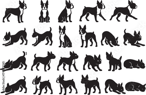 Diverse boston terrier poses silhouettes bundle for graphic design projects animal pet lover