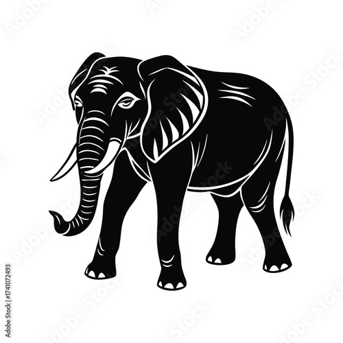 vector illustration of an elephant