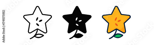 Three stylized star icons with leaf stems in outline, solid, and color styles