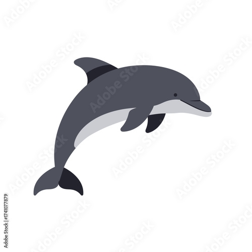Majestic grey dolphin leaping gracefully out of ocean water during sunny day isolated on white background