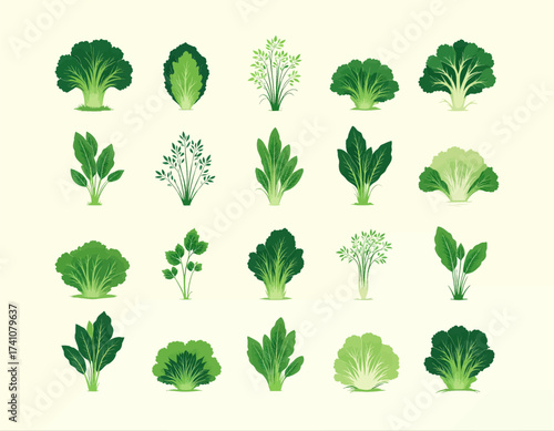 Diverse Green Leafy Vegetables Illustration