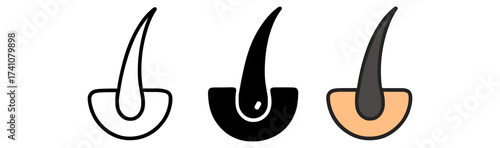 Hair follicle outline and filled icons set for dermatology and haircare