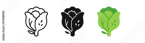 Cabbage icons: outline, solid, and color fill designs for apps and graphics