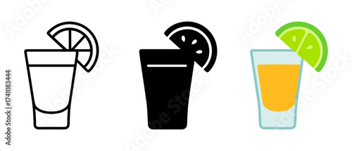 Variety of citrus beverage icons in minimal, silhouette, and flat styles