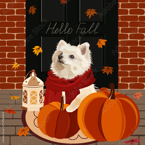 Cozy Pomeranian Dog with Red Scarf and Autumn Pumpkins