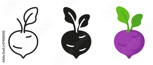 Simple radish icons: outline, solid, colorful design