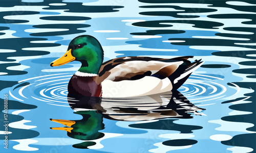 Serene Duck in Calm Waters, Reflections and Ripples