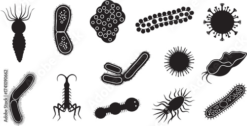 Detailed illustrations of diverse microorganisms for science and research projects