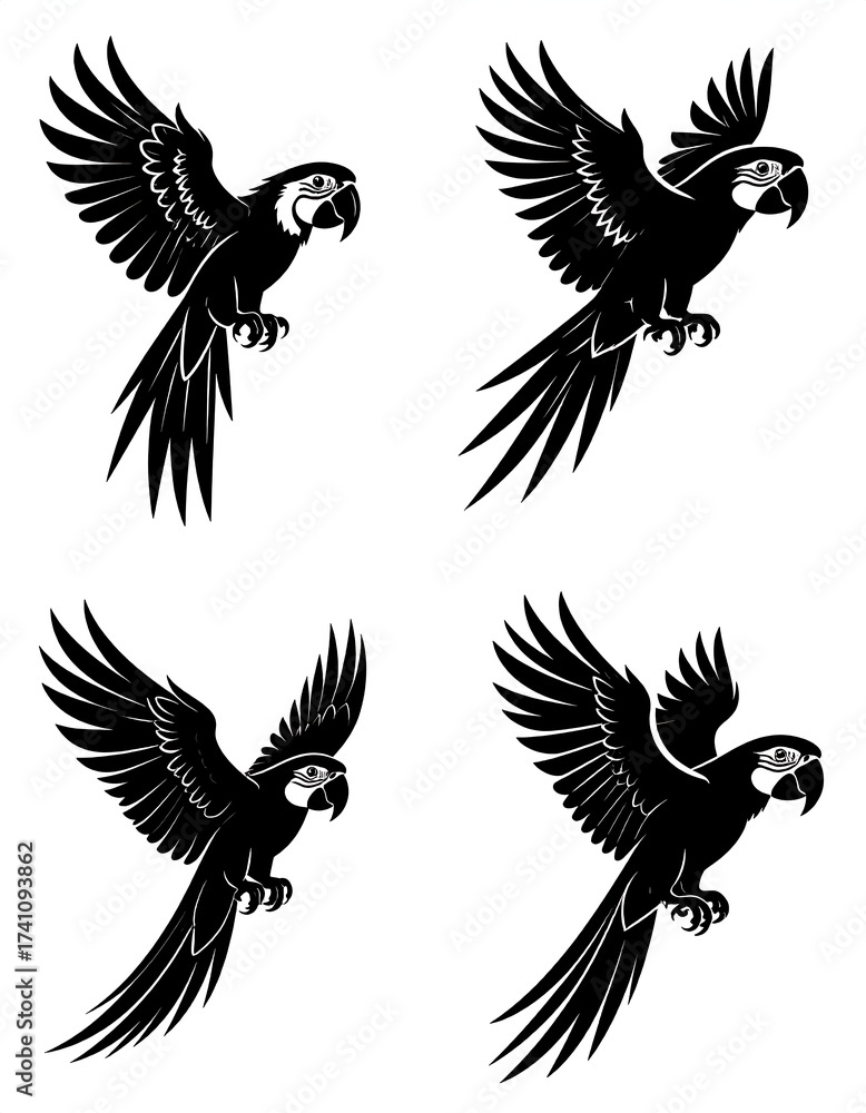 Fototapeta premium Four black and white parrot illustrations in different flight positions