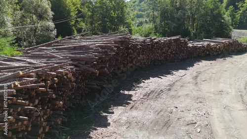 Stacked raw logs prepared for lumber production. Forestry, timber industry, and raw material processing for construction	