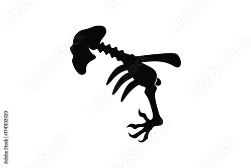 A stark black silhouette of a bird skeleton with a curved spine and delicate legs and claws against a white background silhouette
