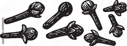 Clove spice linocut black and white engraving vector illustration with buds and heads for seasoning and herbal packaging design