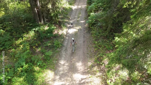 Woman hiker with her dog goes through the forest. Aerial view