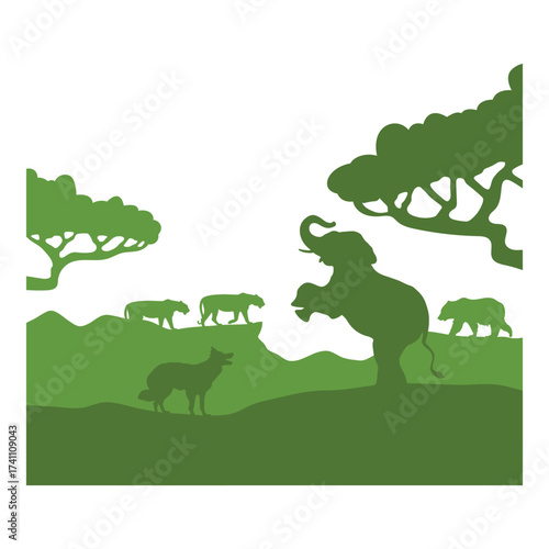 Photography Animal world day silhouette