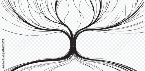 Pink lotus flower stages of blooming set