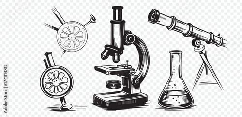 Pink lotus flower stages of blooming set