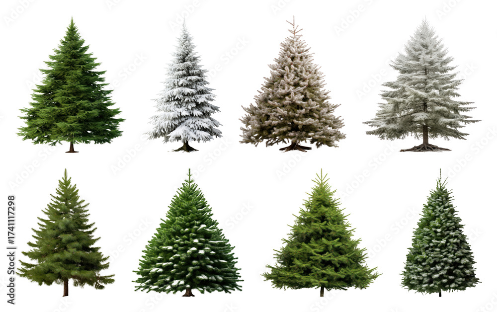 Obraz premium PNG Variety of snow-covered evergreen trees, element set on transparent background
