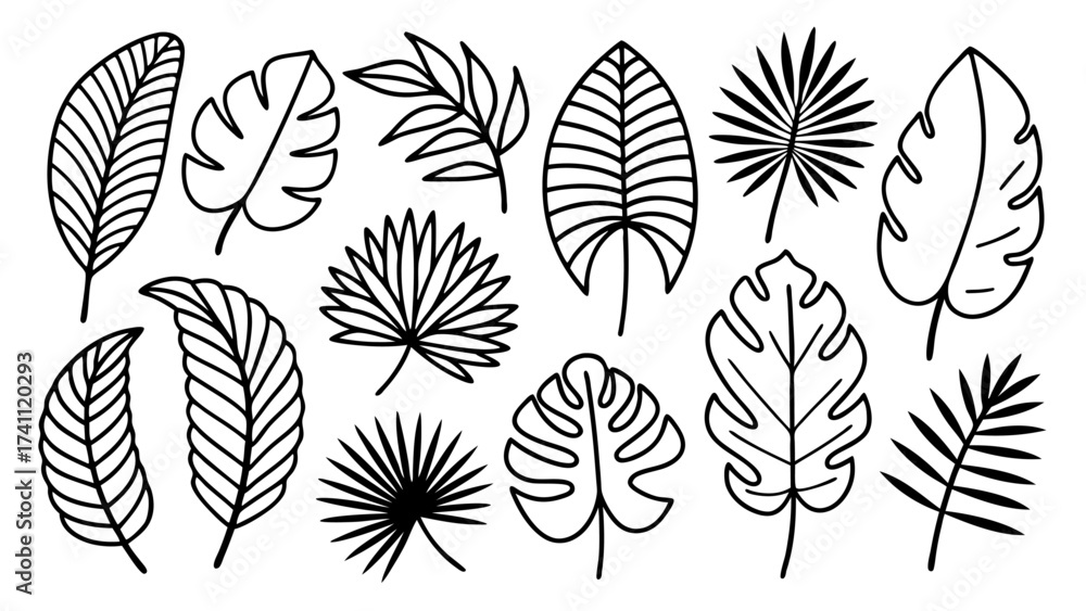 Fototapeta premium Tropical leaves line art bundle, Outline botanical vector icons including monstera, palm, banana, fern, palm fan silhouettes