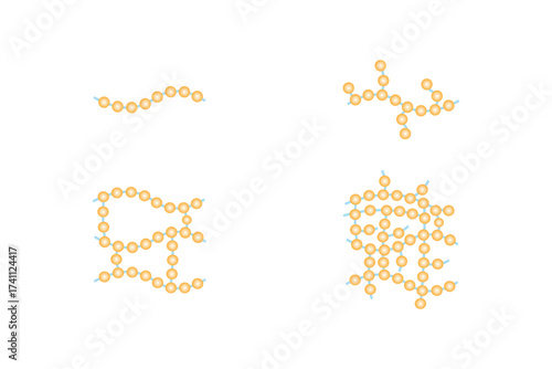 Types of Polymer Structure Science Design. Vector Illustration.