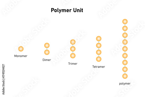 Types of Polymer Unit Science Design. Vector Illustration.
