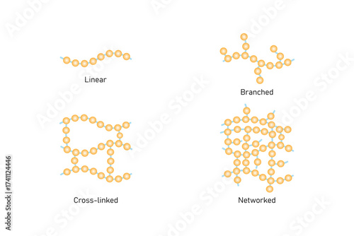 Types of Polymer Structure Science Design. Vector Illustration.