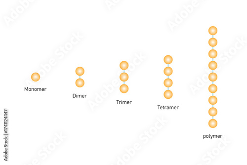 Types of Polymer Unit Science Design. Vector Illustration.