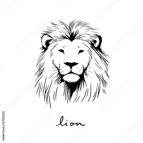 Lion. Lion simple black and white line art vector logo