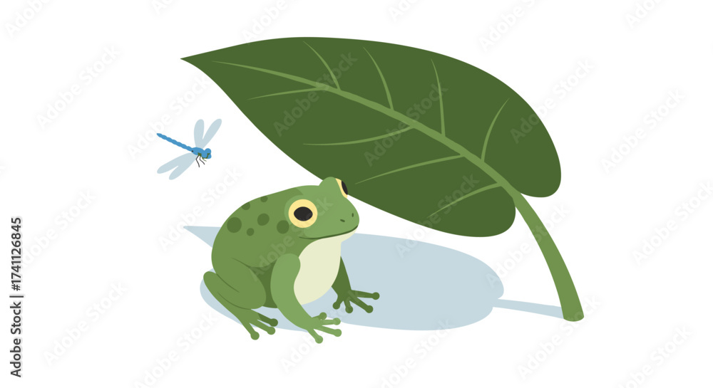 Naklejka premium Colorful frog with dragonfly and leaf in a minimalist nature scene
