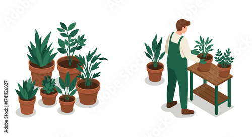 Isometric indoor gardening: man tending to potted plants
