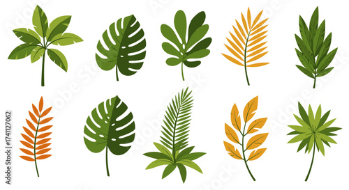 Tropical foliage collection with diverse leaf designs in flat style